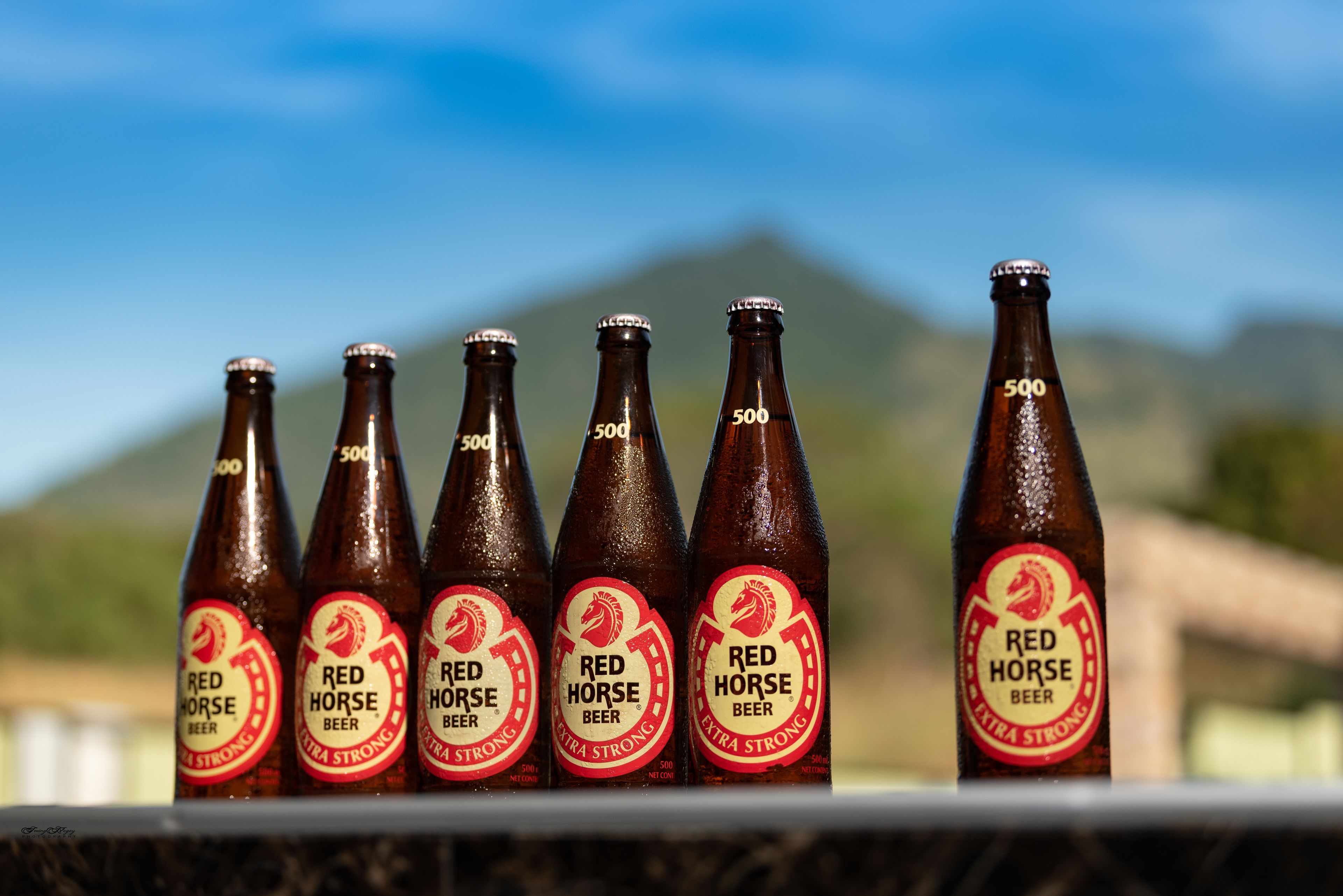 Sechs Flaschen Red Horse Bier mit Etikett, das 500 ml pro Flasche angibt, auf einer Ablage angeordnet, mit unscharfem Hintergrund im Freien.