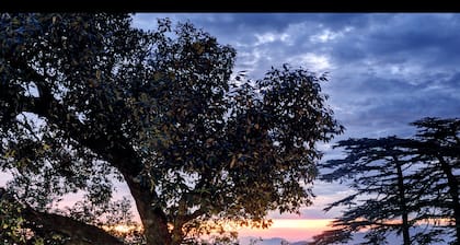 Summit Le Royale Hotel, Shimla