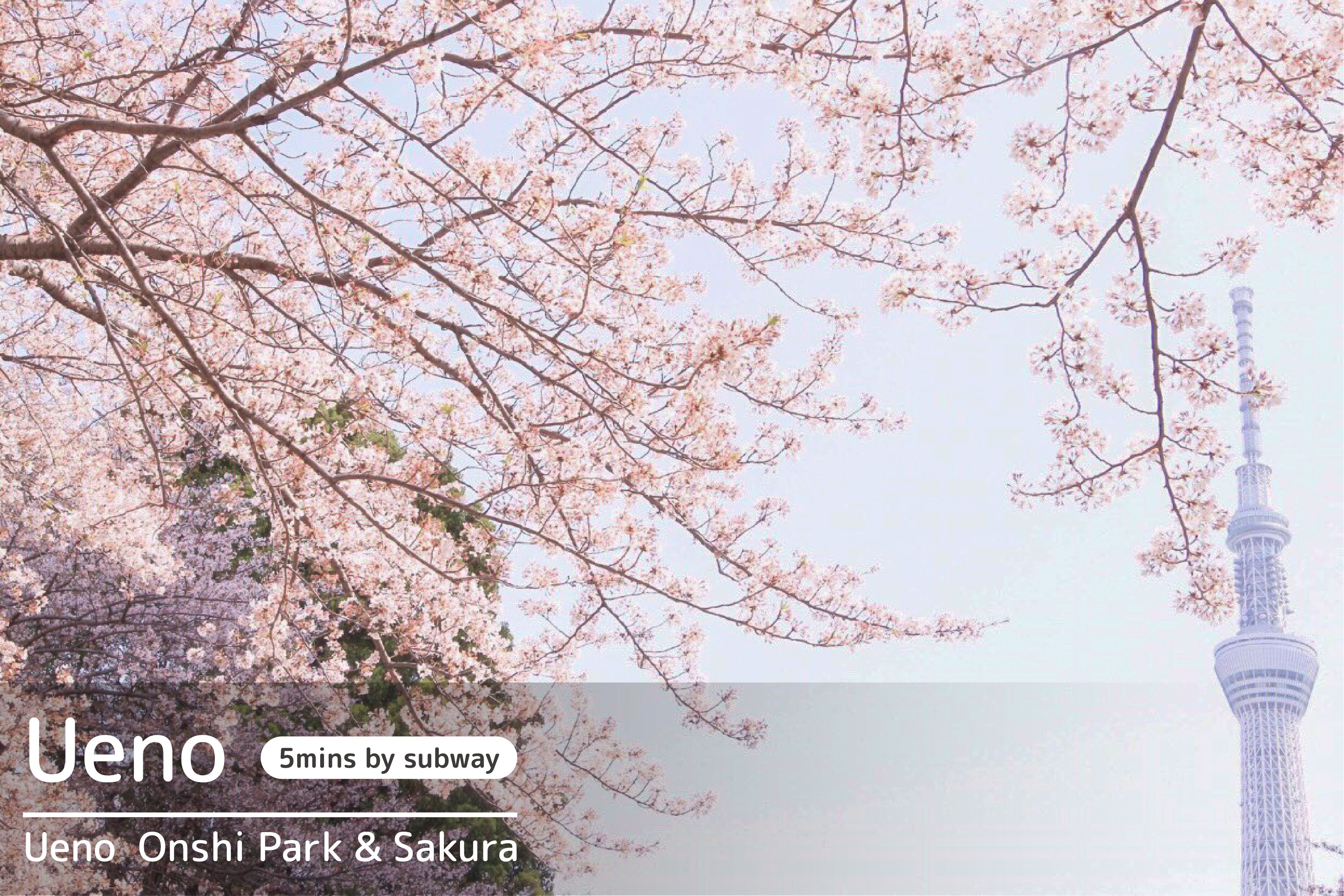 Foto - TOKYO-W-INN Asakusa