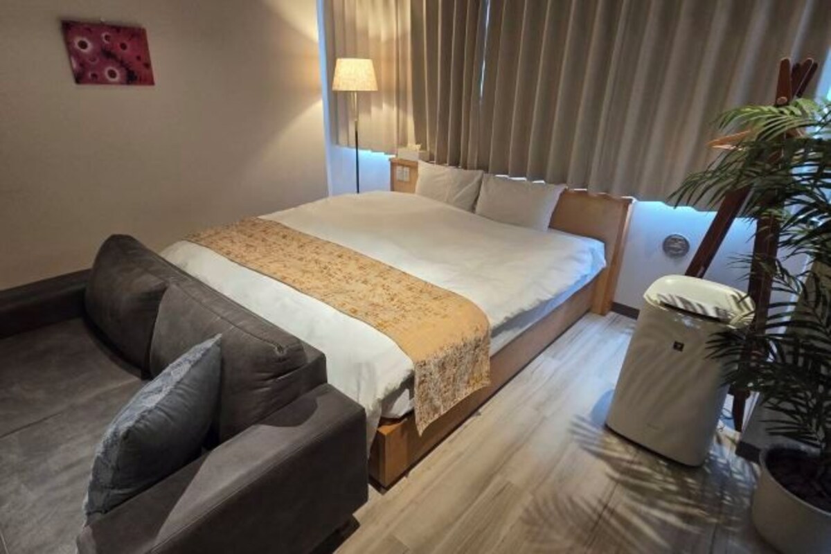 Habitació d'hotel amb un llit, un sofà, una làmpada i una planta en test.