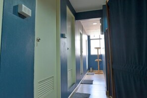 Buồng tắm vòi sen, đồ dùng nhà tắm miễn phí, máy sấy tóc, khăn tắm