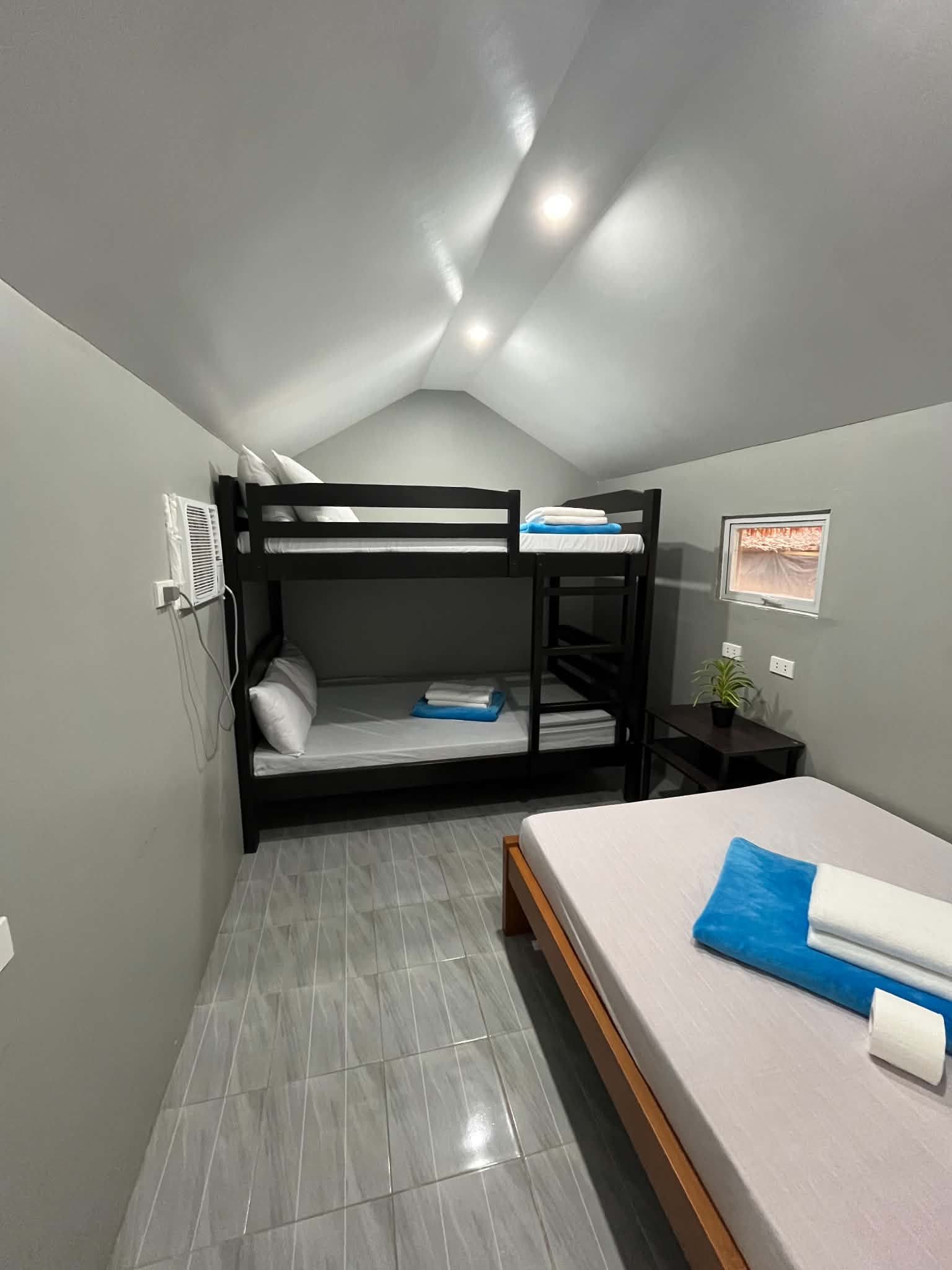 A compact room with a bunk bed, a single bed, and a small bedside table with a plant.