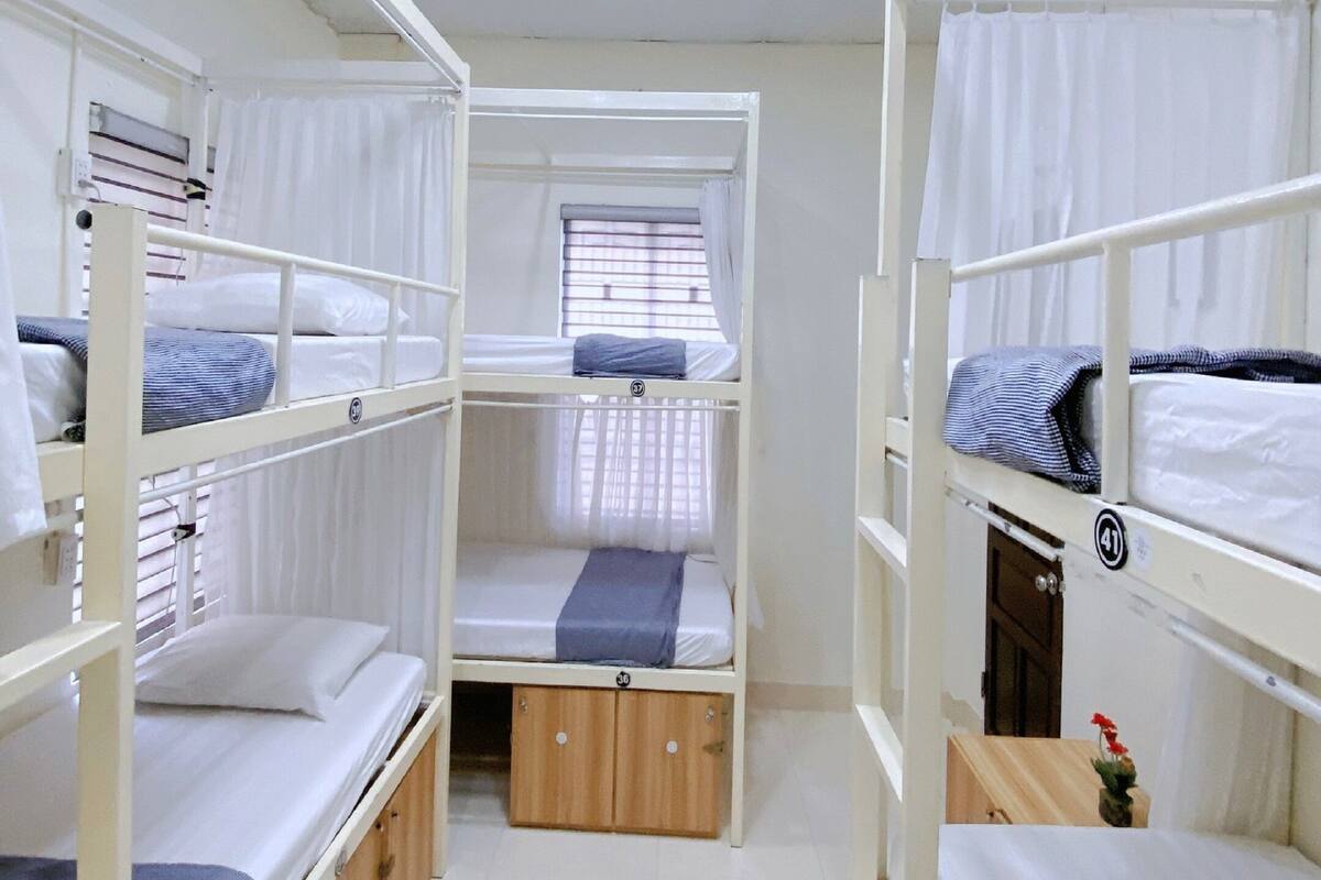 A dormitory room with bunk beds, a window with curtains, and a small table with a flower.