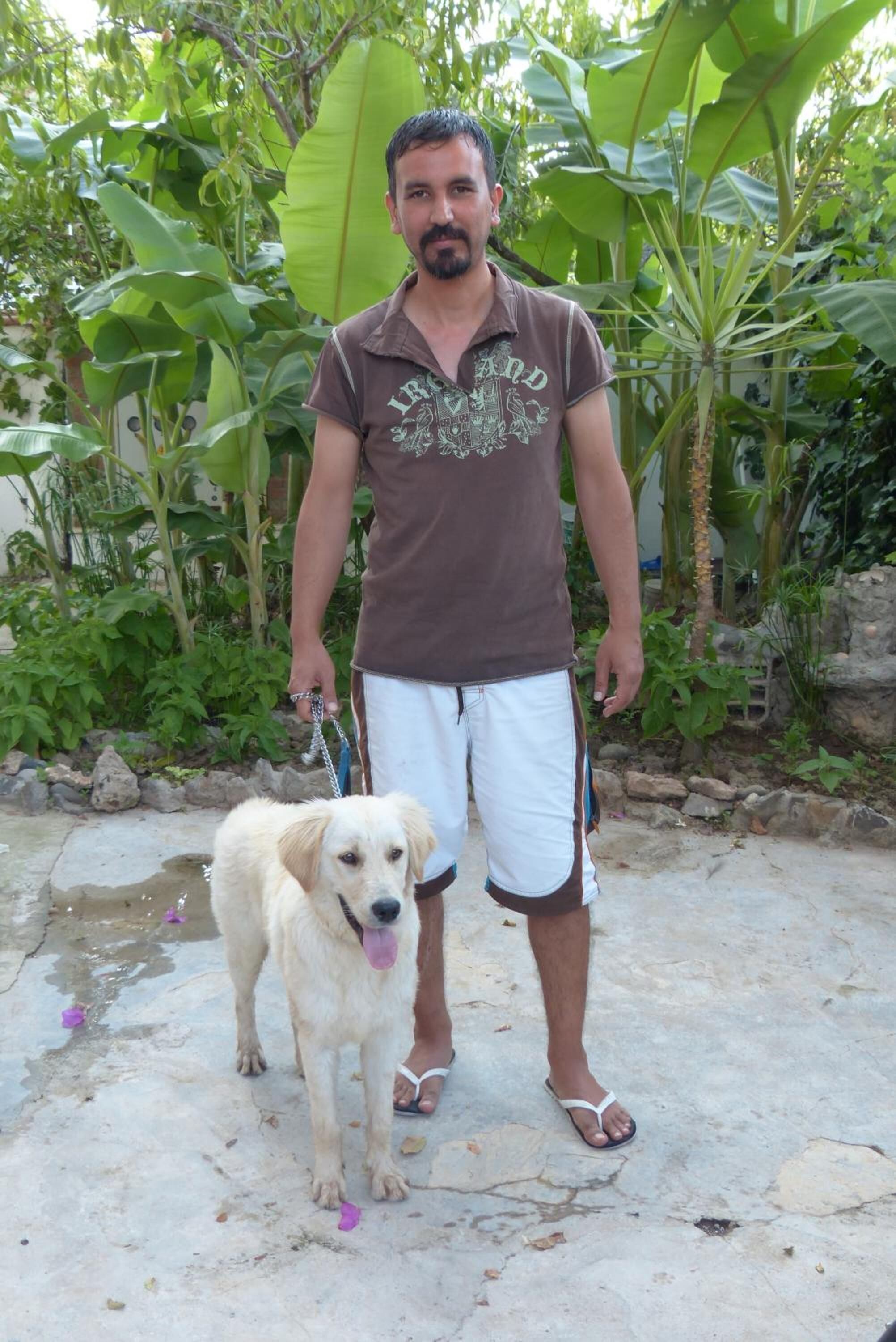 A man standing with a dog in a garden area with large green leaves and rocks.