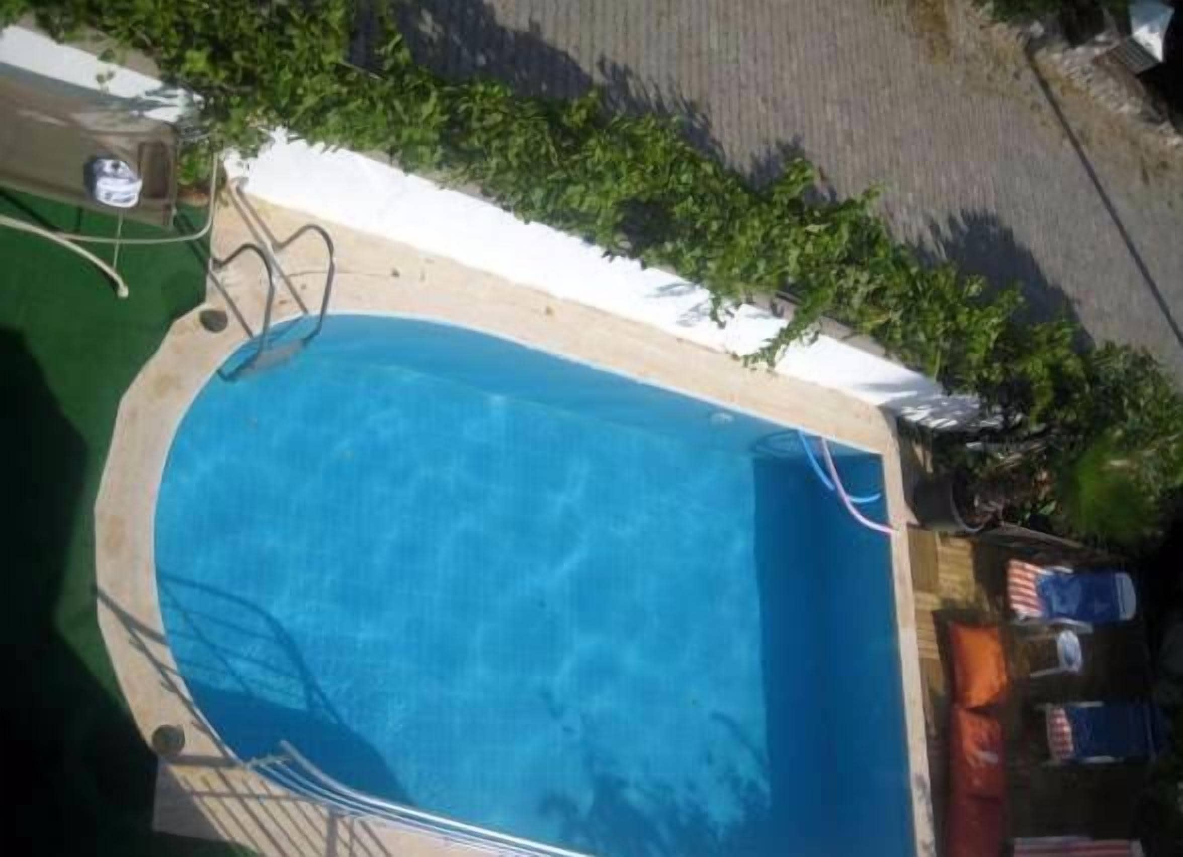 Une piscine rectangulaire à l’intérieur bleu, entourée d’une terrasse en béton et d’un espace vert.