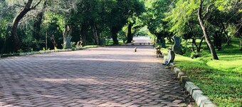 Kumari Resort