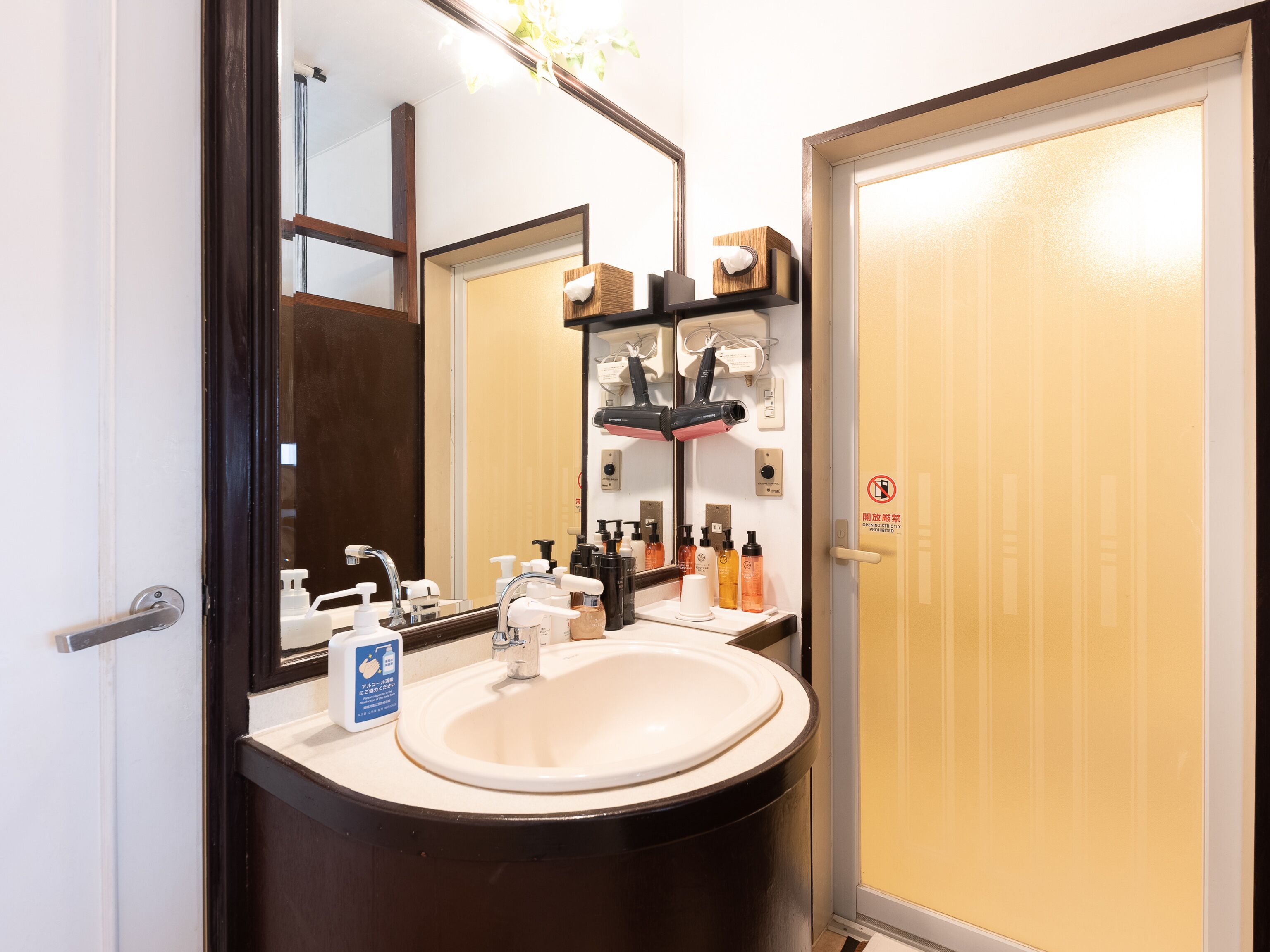 A bathroom with a sink, mirror, and hairdryer.