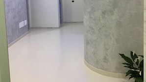 Un pasillo amplio con una pared curva y una planta en maceta.
