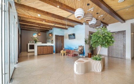 A spacious lobby with a reception desk, seating area, and a large potted plant.