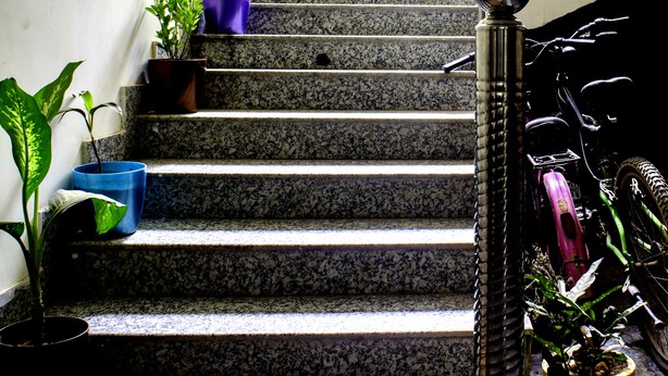 A staircase with granite steps, potted plants, and a metal handrail. - Amigos India - Hostel (New Delhi)