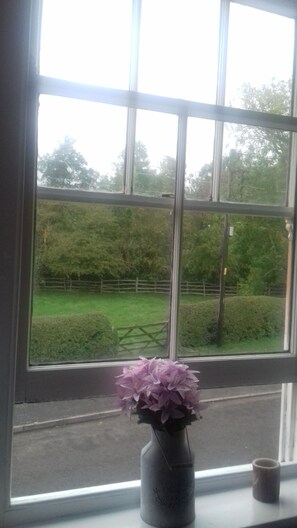Standard Double Room | View from room