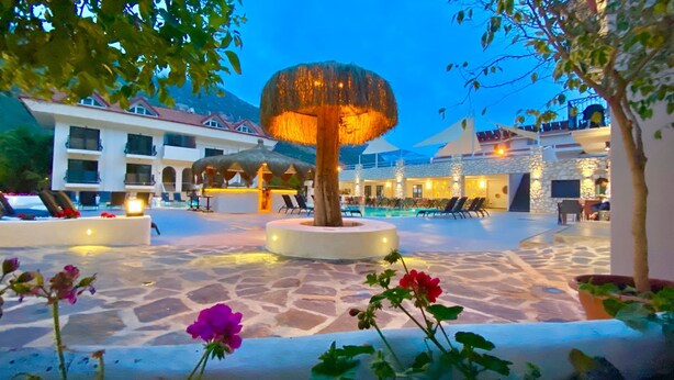 A pool area with a central tree, lounge chairs, and a stone floor.