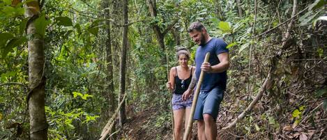 Two people hiking in a forested area with a dirt path.