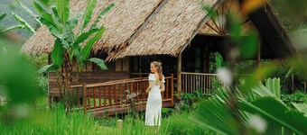 Our Jungle Camp - Eco Resort