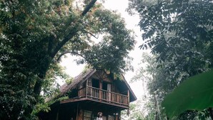 Une cabane en bois à deux étages, entourée d’une végétation tropicale luxuriante.