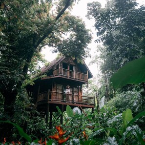 Zimmersafe, individuell dekoriert, individuell eingerichtet, Bettwäsche