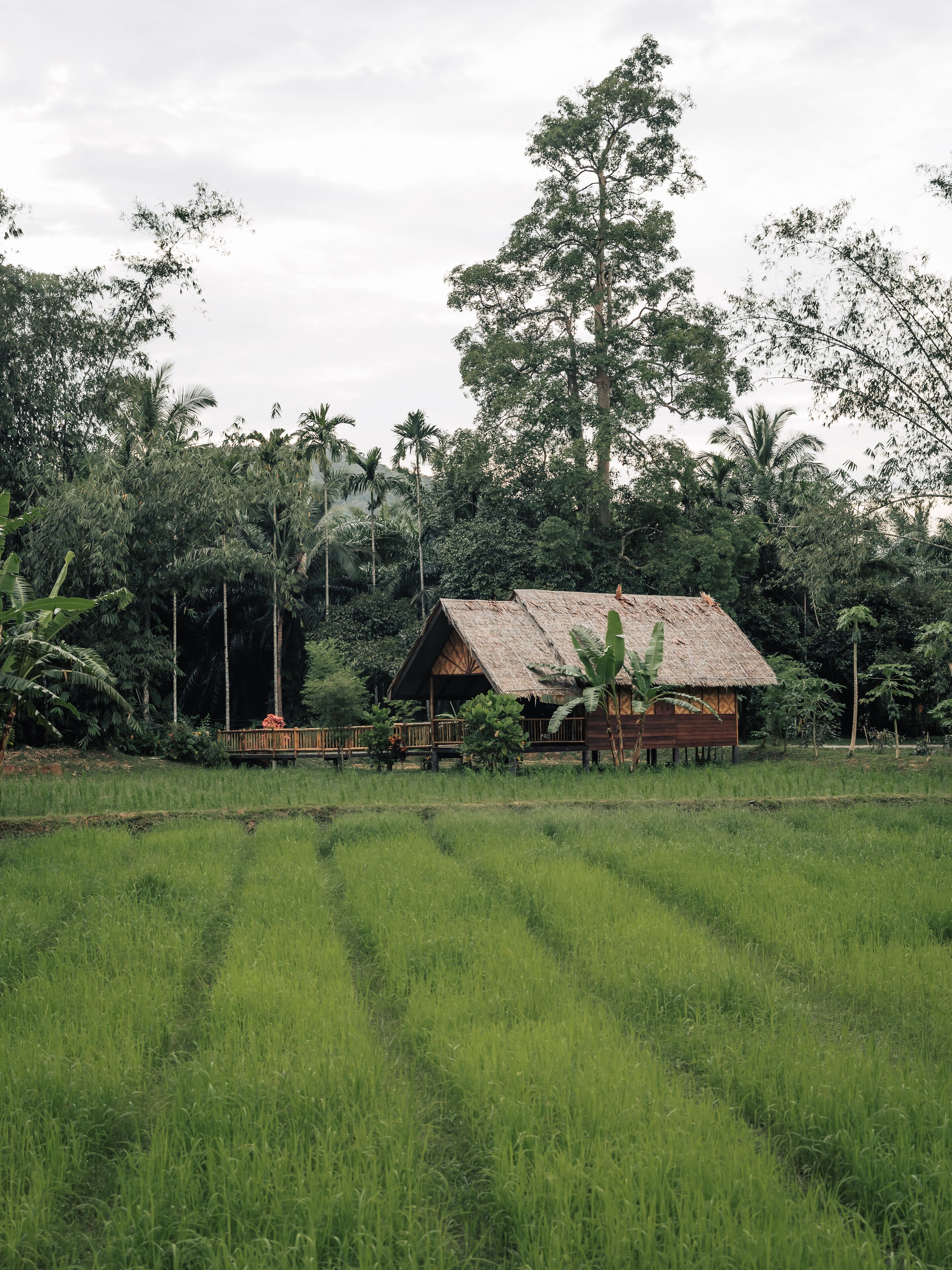 1 bedroom, in-room safe, individually decorated, individually furnished