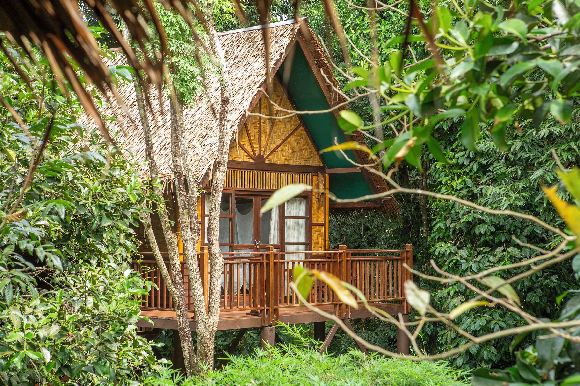 treehouse triple | view from room