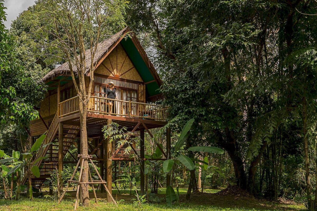 Treehouse Triple | Két bảo mật tại phòng, trang trí khác biệt 