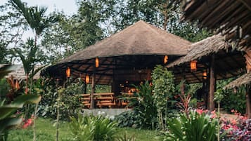 Jardim
