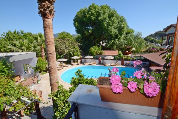 Vue depuis le balcon