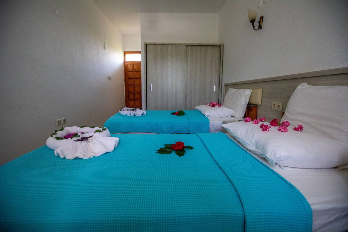 Standard Twin Room, 2 Single Beds, Non Smoking, Garden View