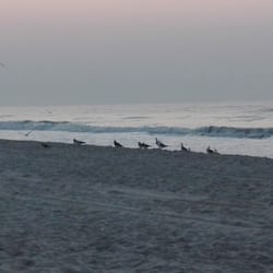 Sulla spiaggia, immersioni subacquee