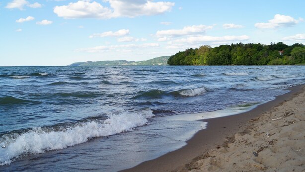 Una playa con olas, una orilla arenosa y una colina boscosa al fondo.