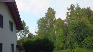 Una casa con fachada blanca y techo marrón, rodeada por un patio cercado con árboles y césped.