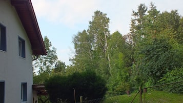 Taman