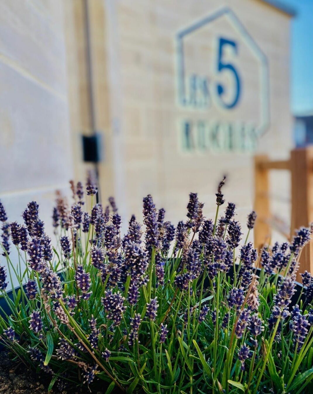 chambre double deluxe, 1 grand lit, vue cour intérieure (les 5 ruches) | courtyard view