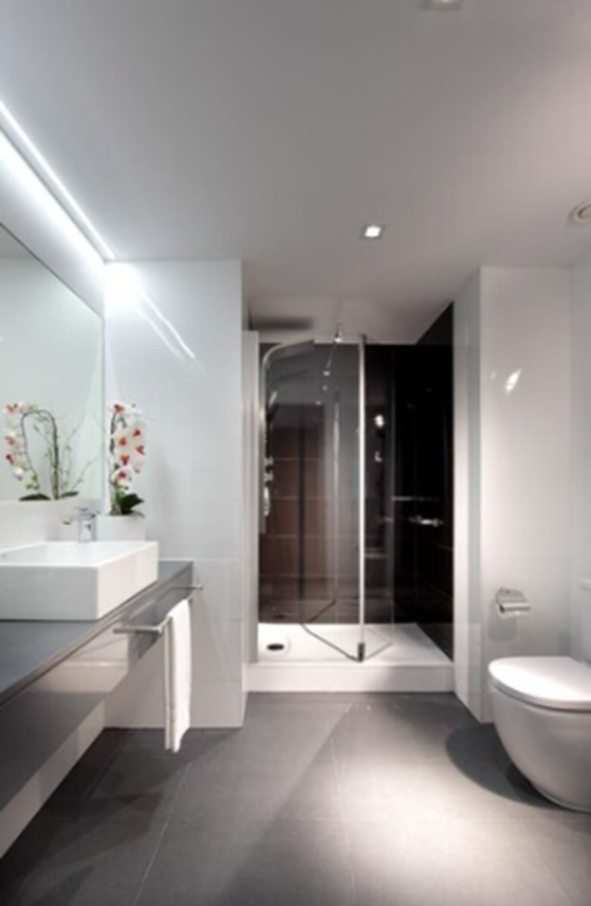 shower, eco-friendly toiletries, hair dryer, towels