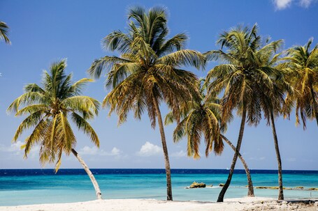 Playa