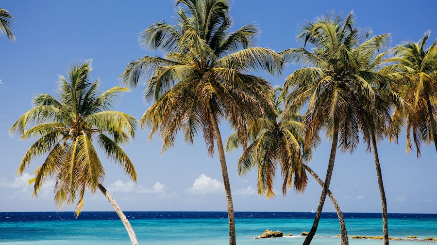 The Liming Bequia