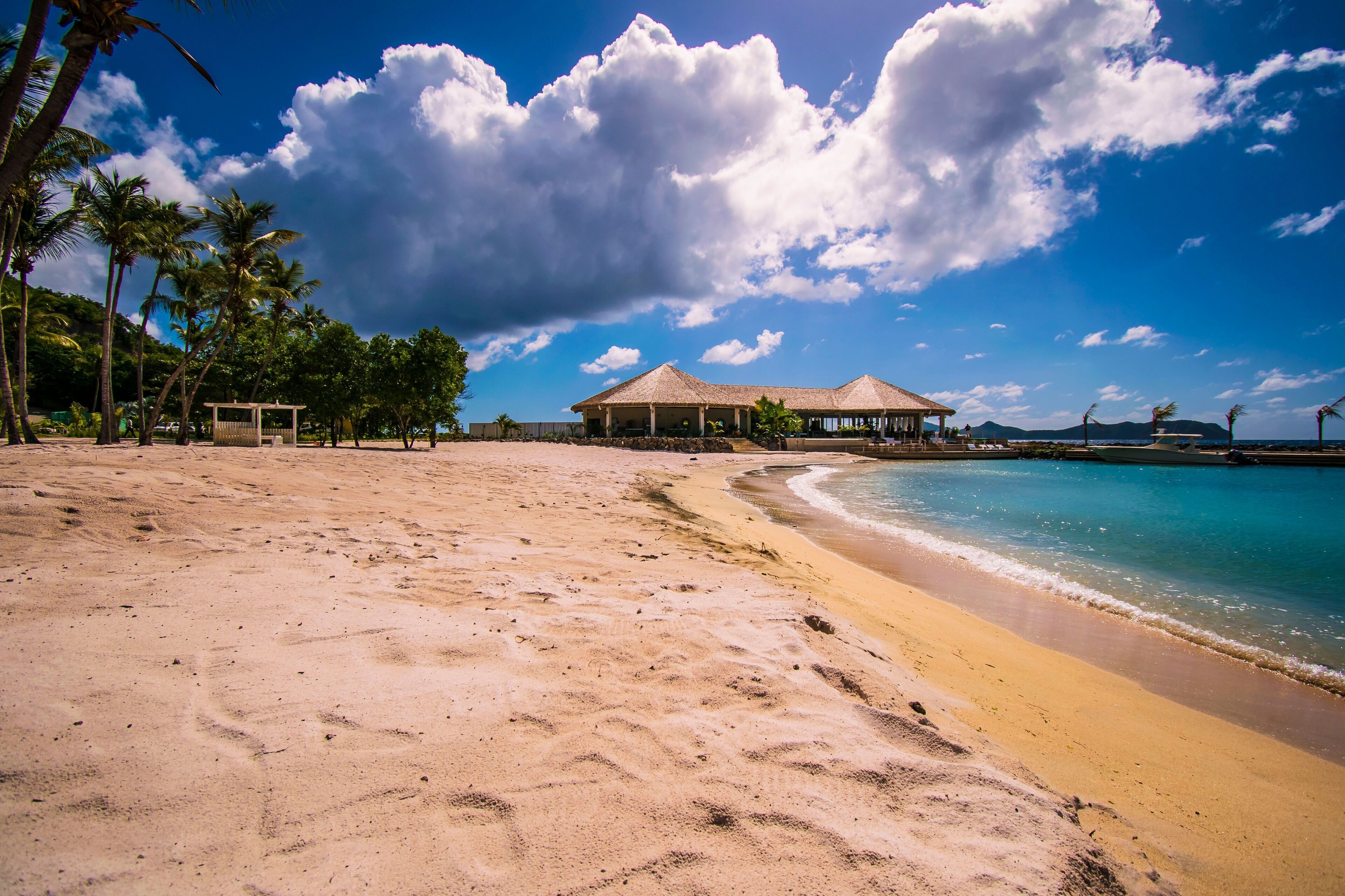 A beach with a thatched-roof structure, palm trees, and a clear sky.