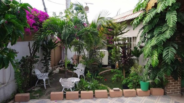 A courtyard with potted plants, a small seating area, and a brick wall. - Star House (Port-au-Prince)
