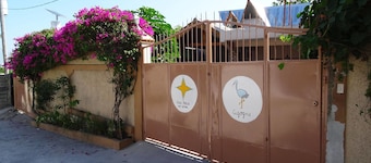 Star House