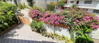 Star House