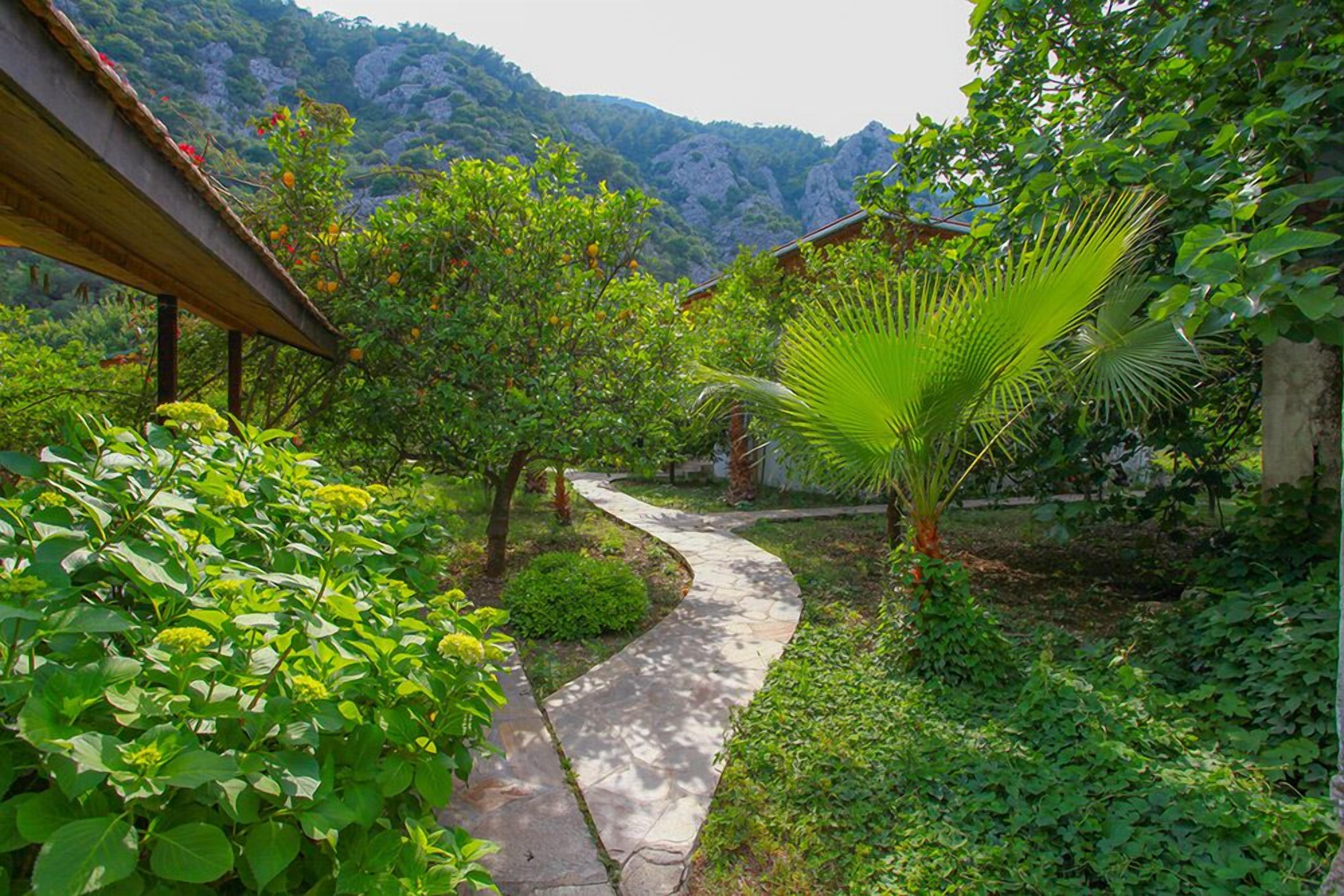 Un sendero en un jardín con abundante vegetación y una palmera.