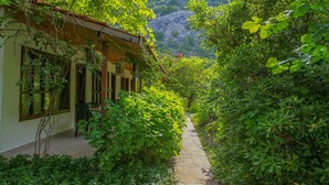 A narrow stone pathway flanked by lush greenery and a building with large windows and a porch. - Dolunay Apart Otel (Kemer)