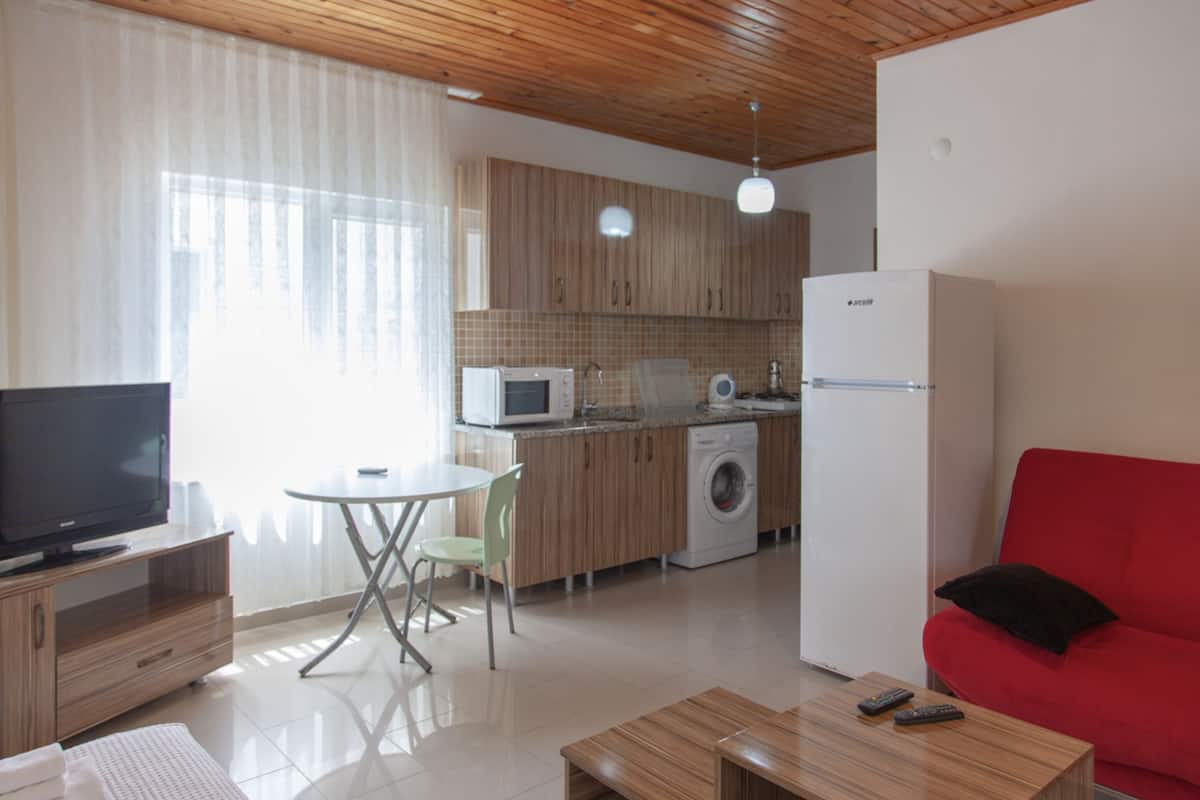 Appartement, 1 slaapkamer | Een bureau, geluiddichte muren, gratis wifi
