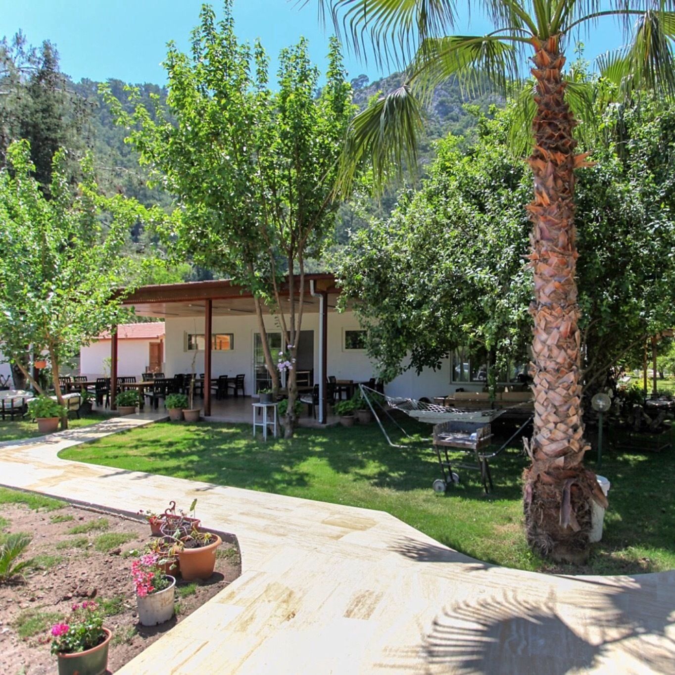 Un patio con mobiliario exterior, una parrilla y una palmera.