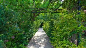 A stone pathway surrounded by lush greenery and trees. - Dolunay Apart Otel (Kemer)