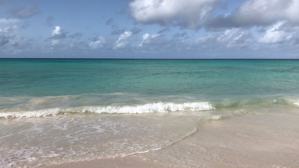 Beach - Maxwell Beach Apartment (Oistins)