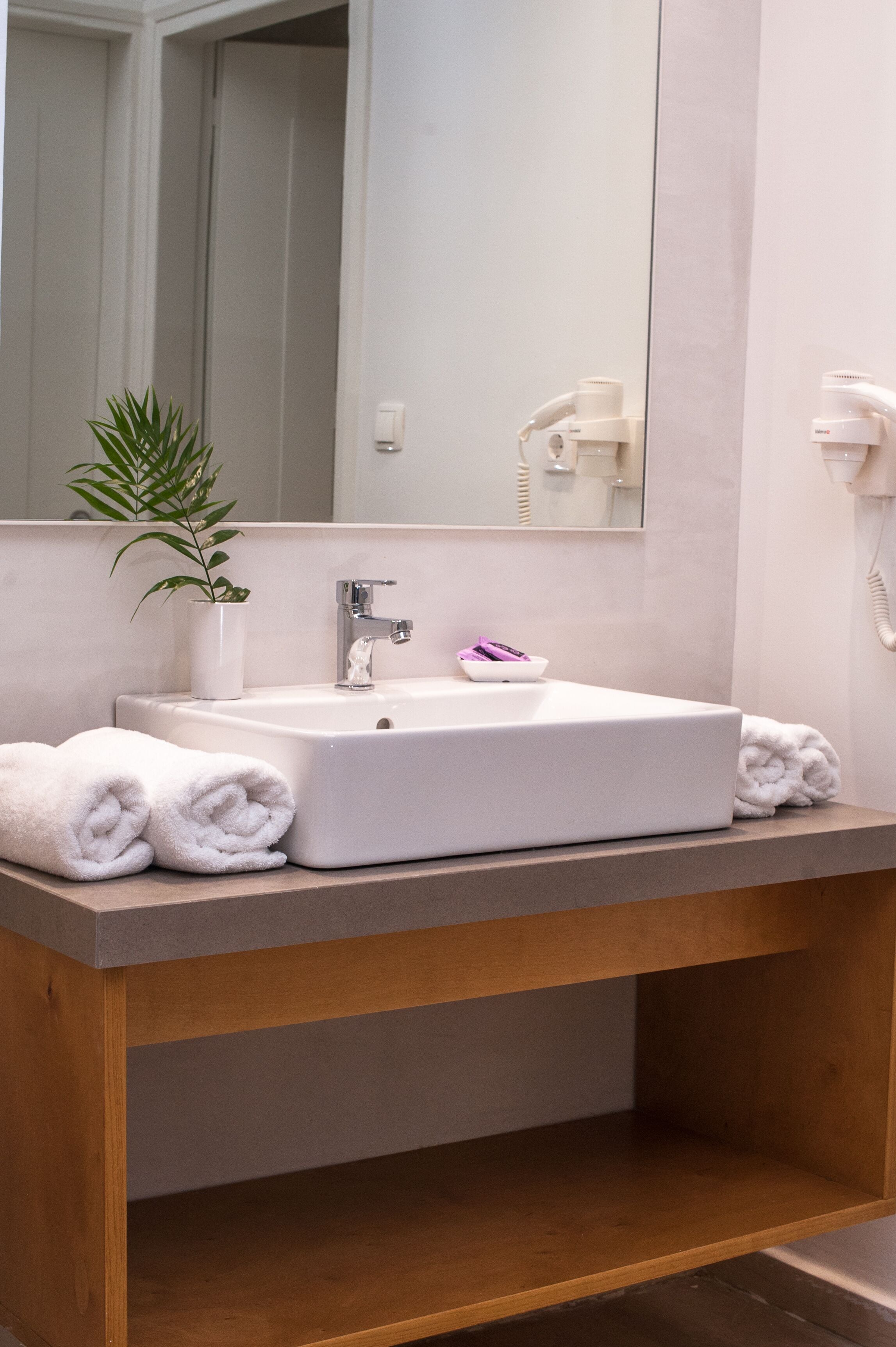 A bathroom with a white sink, a mirror, a plant, and a towel rack.
