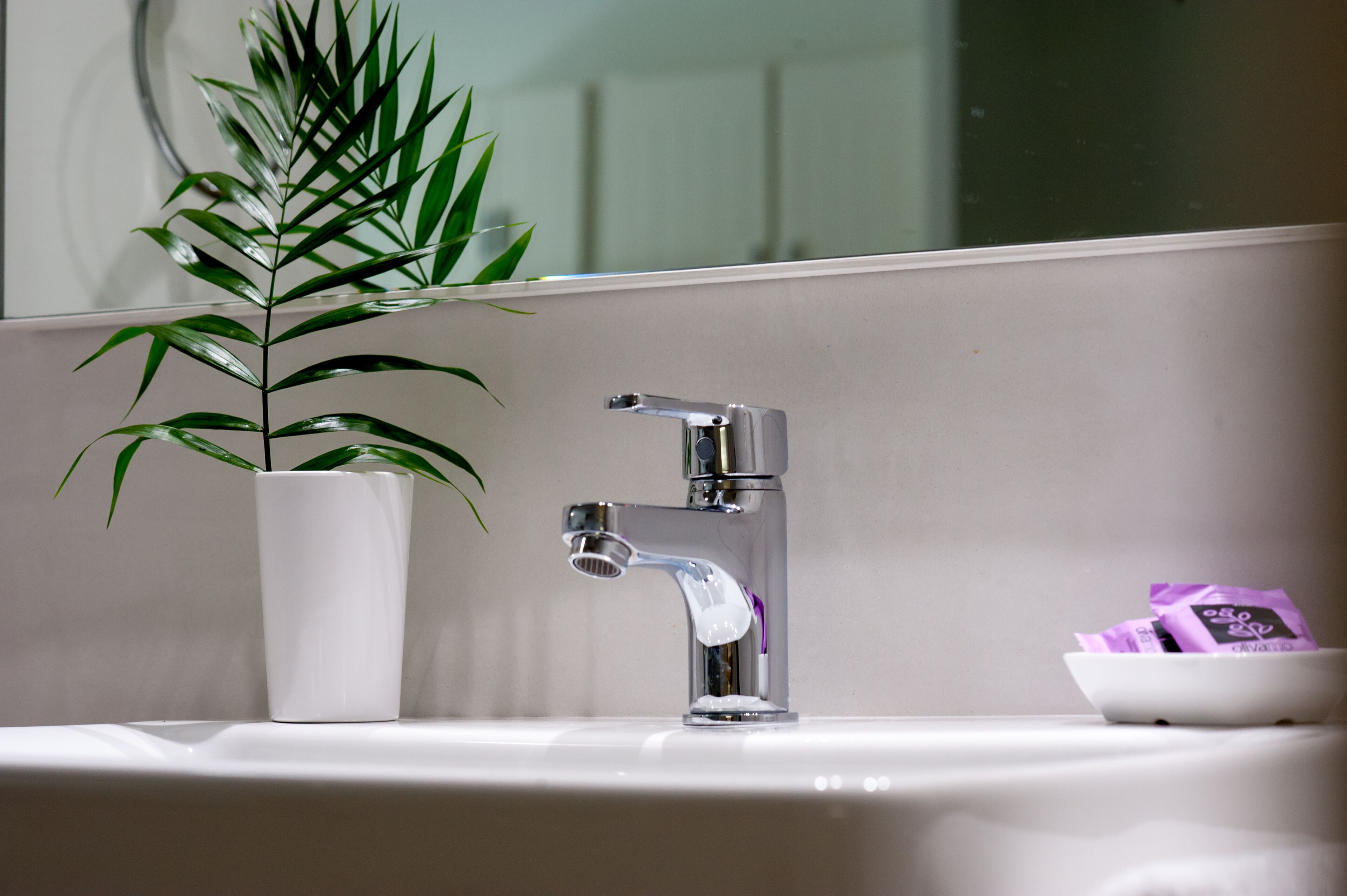 Ein Badezimmerwaschbecken mit einem modernen Wasserhahn, einer Zimmerpflanze und einer Schale mit Gegenständen.