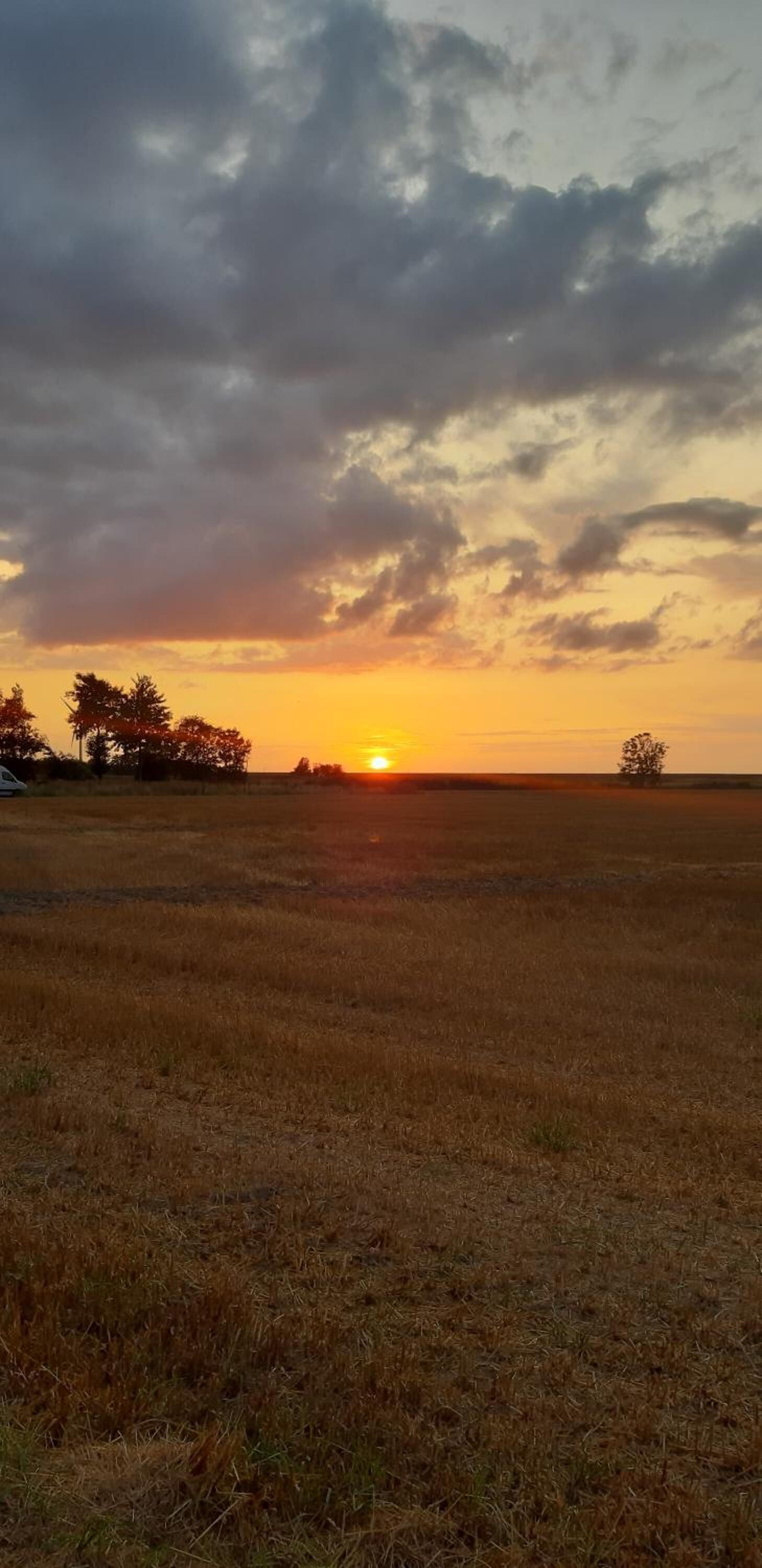 A sunset over a flat landscape with sparse trees and a clear horizon.