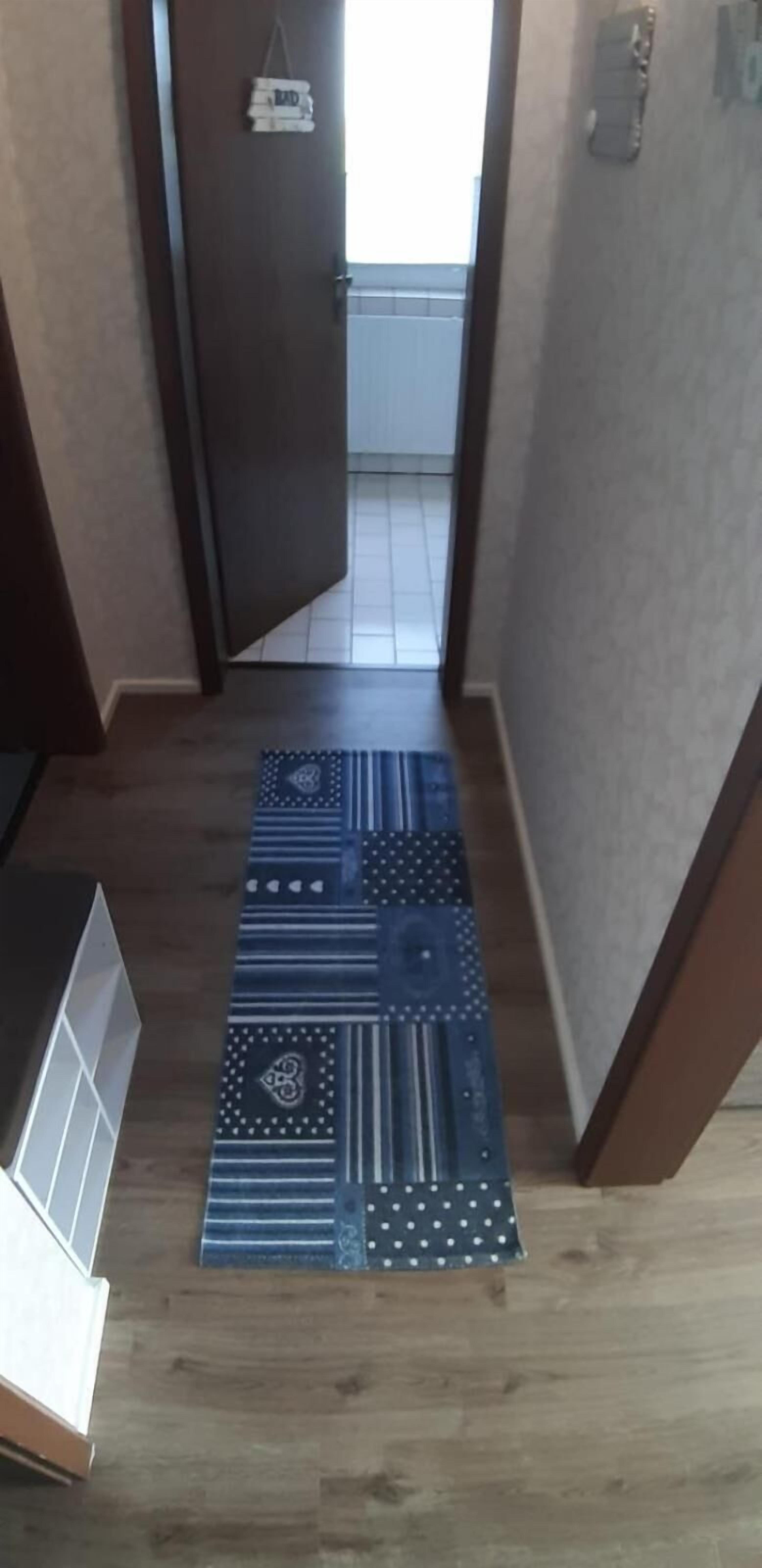 A narrow hallway with a patterned rug leading to a door.