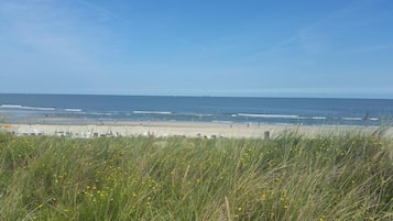 Tæt på stranden