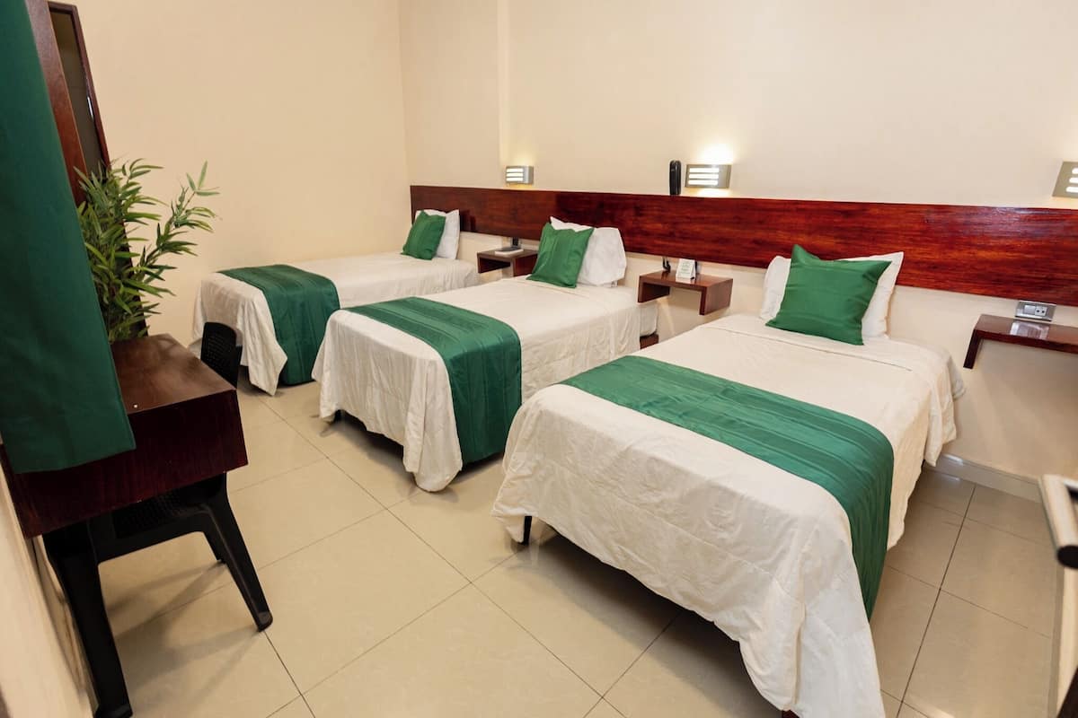 Habitación de hotel con tres camas individuales, cada una con cubrecama verde y blanco, cabeceros de madera y mesitas de noche con lámparas. Se observa una planta en maceta en la esquina.